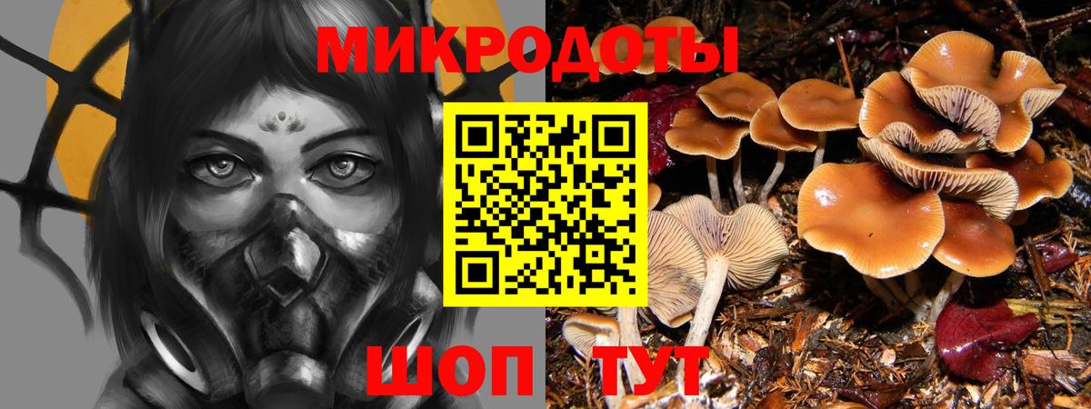 дарнет шоп  Вход с VPN  Нефтекамск  Галлюциногенные грибы Cubensis 